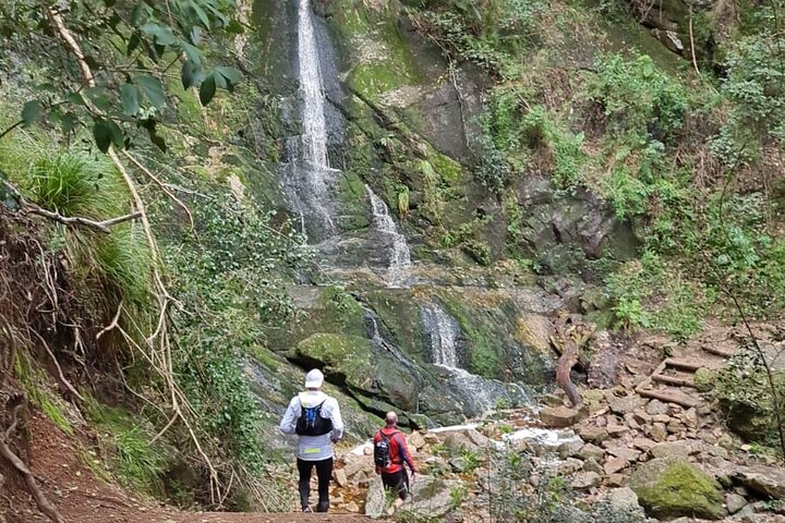 Incredible Table Mountain Guided Day Hike or Trail Run - Photo 1 of 6